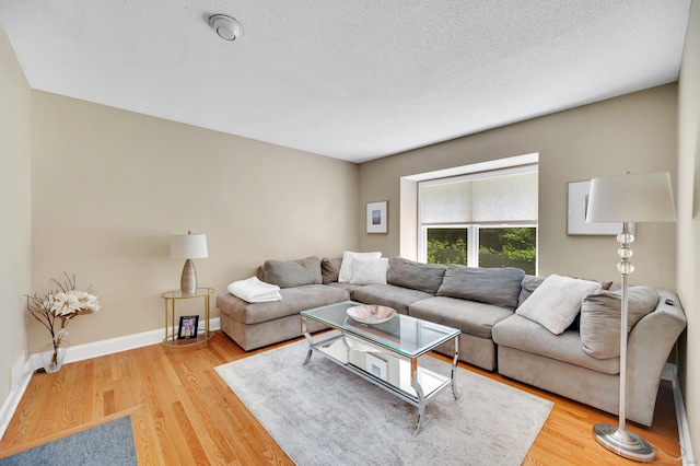 80 Quarry Village Rd, Cheshire, CT 06410 - living area featuring light wood-type flooring and a textured ceiling
