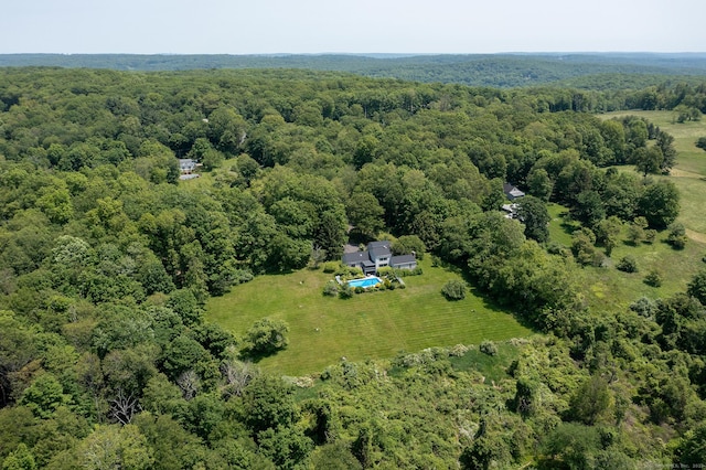 bird's eye view of a forest