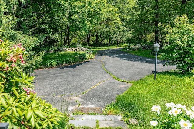 173 Bch Hill Rd E, Bridgewater, CT 06752 - view of home's community
