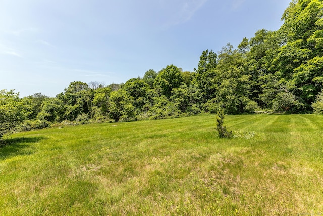 173 Bch Hill Rd E, Bridgewater, CT 06752 - view of yard