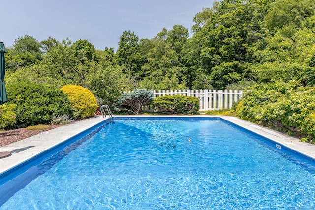 173 Bch Hill Rd E, Bridgewater, CT 06752 - view of swimming pool