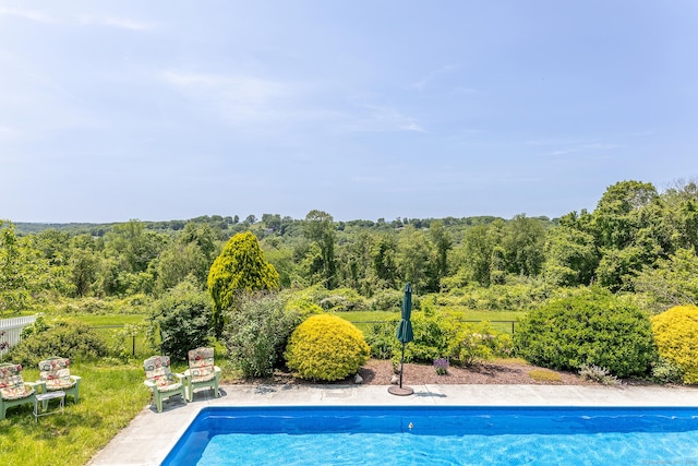 swimming pool with a wooded view
