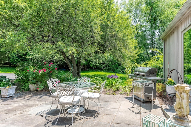 view of patio / terrace with grilling area and outdoor dining area