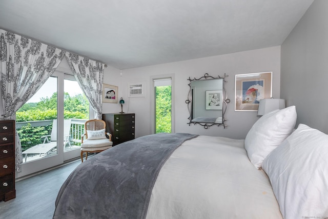 173 Bch Hill Rd E, Bridgewater, CT 06752 - bedroom with access to outside, wood finished floors, and an AC wall unit