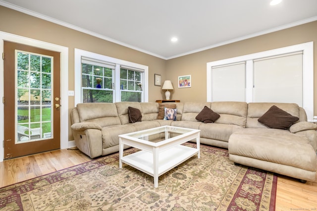116 Knapp St, Stamford, CT 06907 - living room with wood finished floors, crown molding, healthy amount of natural light, and recessed lighting
