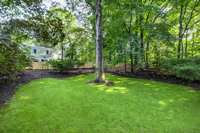 116 Knapp St, Stamford, CT 06907 - view of yard