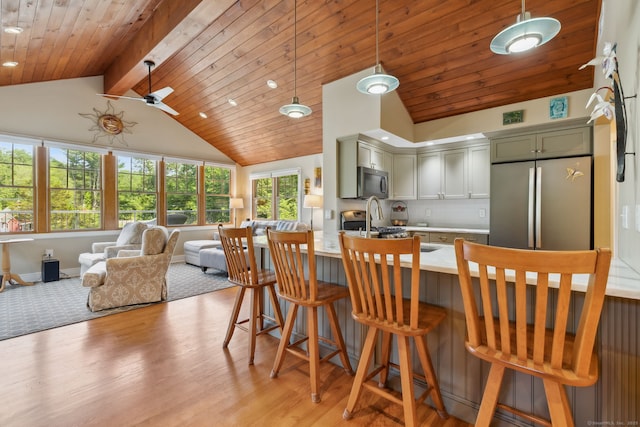271 Haywardville Rd, East Haddam, CT 06415 - kitchen with appliances with stainless steel finishes, light countertops, open floor plan, light wood-type flooring, and a breakfast bar