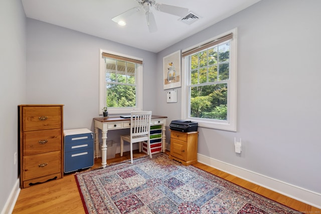 271 Haywardville Rd, East Haddam, CT 06415 - office area with plenty of natural light, light wood-type flooring, and a ceiling fan