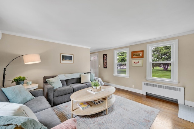 253 Gardner St, Manchester, CT 06040 - living room featuring radiator heating unit, wood finished floors, and ornamental molding