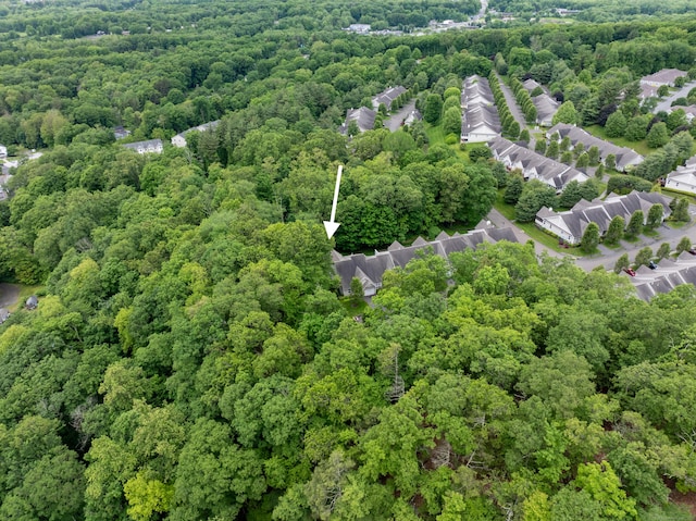 153 Louis Hill Rd Unit 153, Newtown, CT 06482 - bird's eye view of a heavily wooded area