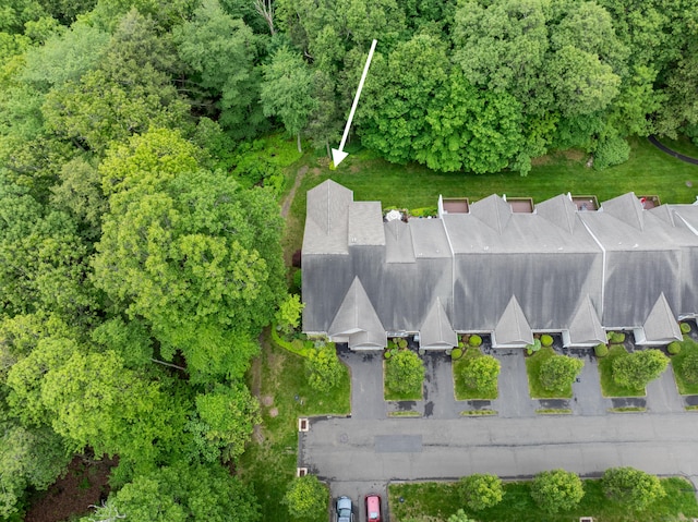 153 Louis Hill Rd Unit 153, Newtown, CT 06482 - drone / aerial view
