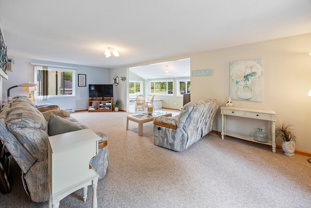 81 Standish Rd, Coventry, CT 06238 - living room with plenty of natural light, carpet flooring, and a baseboard radiator