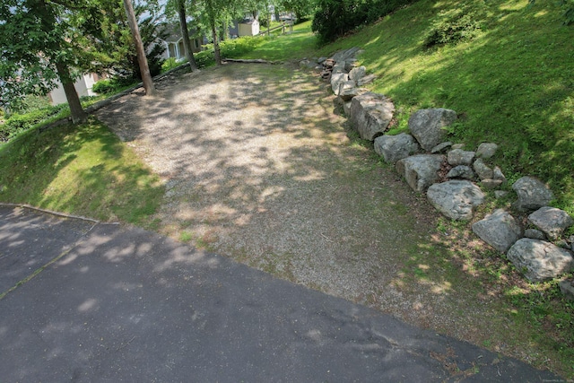 81 Standish Rd, Coventry, CT 06238 - view of yard