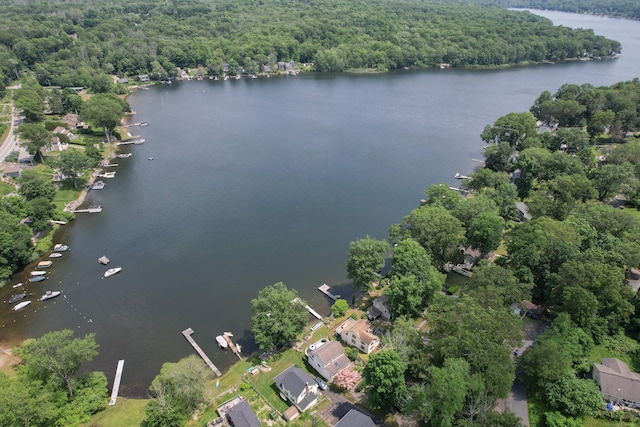 81 Standish Rd, Coventry, CT 06238 - aerial overview of property's location featuring a nearby body of water