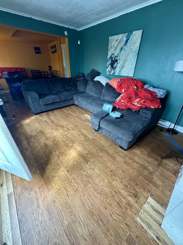 81 Easton Ave, Waterbury, CT 06704 - living room with wood finished floors and ornamental molding