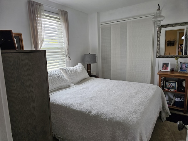 346 Pine St, Bristol, CT 06010 - bedroom with carpet and a closet