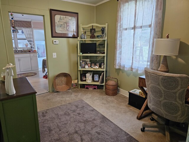 346 Pine St, Bristol, CT 06010 - office with plenty of natural light, carpet, and ornamental molding