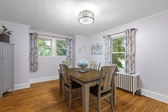 51 Carmel St, Hamden, CT 06518 - dining space featuring radiator, plenty of natural light, hardwood / wood-style flooring, and crown molding