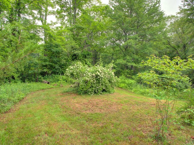291 Cossaduck Hill Rd, North Stonington, CT 06359 - view of yard featuring a forest view