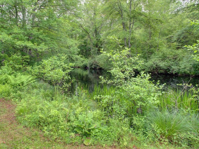 291 Cossaduck Hill Rd, North Stonington, CT 06359 - view of tree filled area