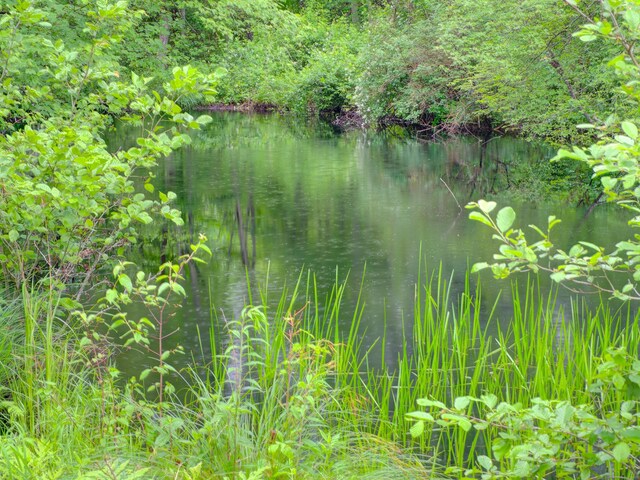 291 Cossaduck Hill Rd, North Stonington, CT 06359 - water view