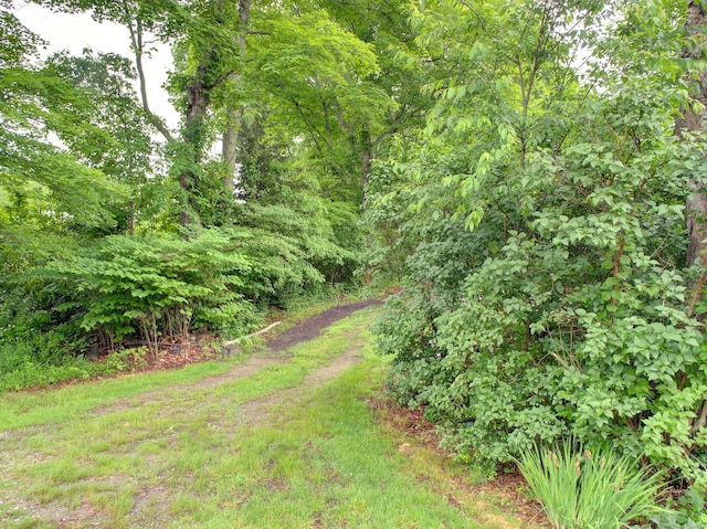 291 Cossaduck Hill Rd, North Stonington, CT 06359 - view of yard