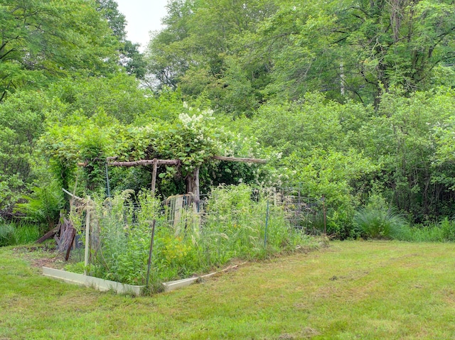 291 Cossaduck Hill Rd, North Stonington, CT 06359 - view of grassy yard featuring a vegetable garden and a wooded view