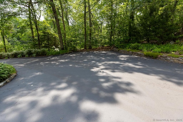 328 Old Marlborough Tpke, Portland, CT 06480 - view of street featuring a wooded view