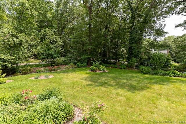 328 Old Marlborough Tpke, Portland, CT 06480 - view of green lawn