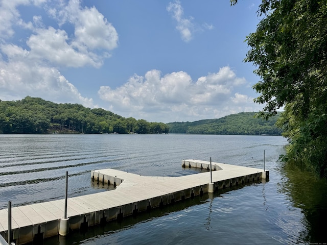 89 Iron Ore Hill Rd, Bridgewater, CT 06752 - photo 2