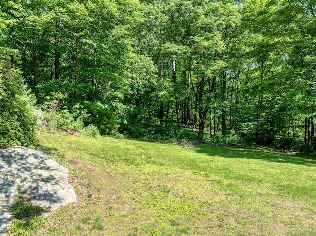 123 Geer Rd, Griswold, CT 06351 - view of green lawn featuring a wooded view