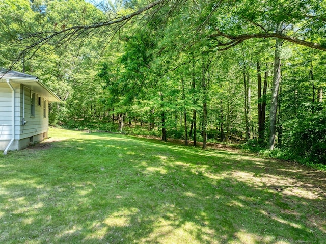 123 Geer Rd, Griswold, CT 06351 - view of green lawn with a view of trees