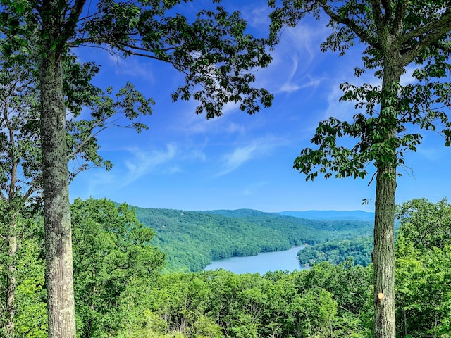 162 Shortwoods Rd, New Fairfield, CT 06812 - view of mountain background featuring a heavily wooded area and a nearby body of water