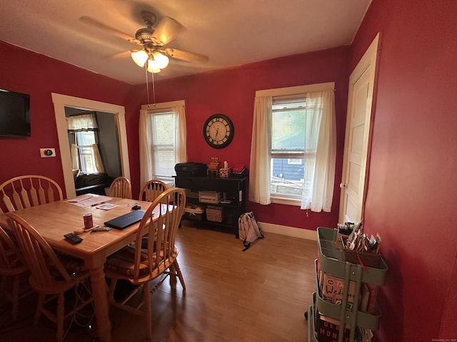 813 Russell St, New Haven, CT 06513 - dining area featuring a ceiling fan, healthy amount of natural light, and wood finished floors