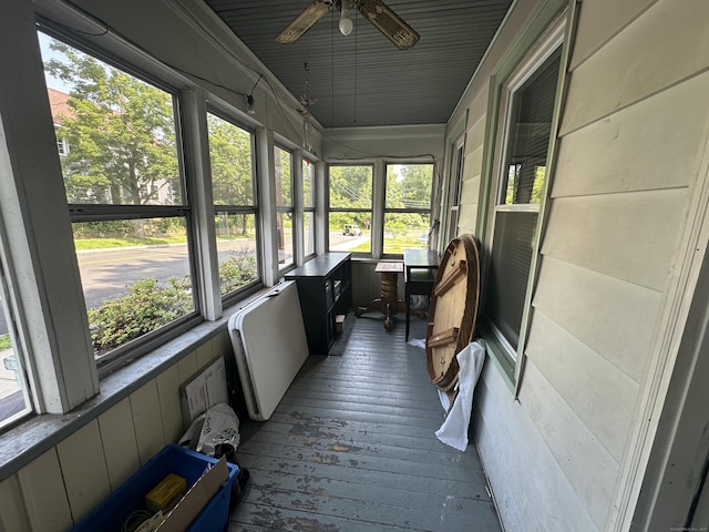 813 Russell St, New Haven, CT 06513 - sunroom with healthy amount of natural light, ceiling fan, and radiator