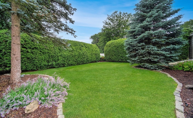 3 Fairview Hts, Cromwell, CT 06416 - view of green lawn
