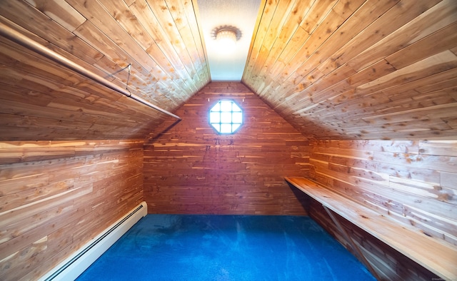 3 Fairview Hts, Cromwell, CT 06416 - sauna / steam room featuring wood walls, wooden ceiling, and carpet flooring