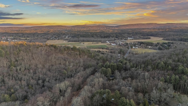 45 Westledge Rd, Simsbury, CT 06092 - view of mountain backdrop with a heavily wooded area