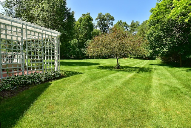 16 Brookfield Dr, Ellington, CT 06029 - view of green lawn with view of scattered trees