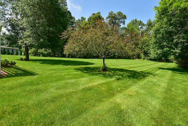 16 Brookfield Dr, Ellington, CT 06029 - view of green lawn