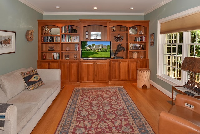 16 Brookfield Dr, Ellington, CT 06029 - living room featuring light wood-style flooring and ornamental molding