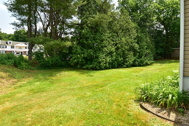 20 Battle St, Somers, CT 06071 - view of green lawn