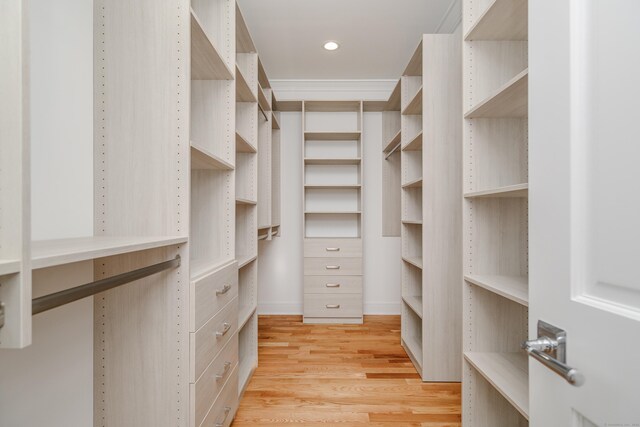 19 Ives Ct, Ridgefield, CT 06877 - walk in closet featuring light wood-style flooring