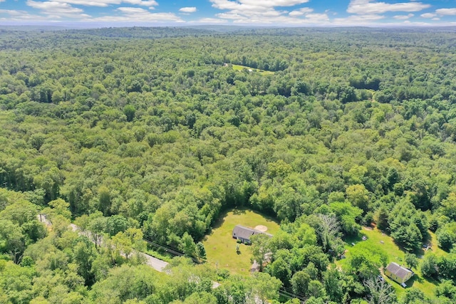 125 E Old Route 6, Hampton, CT 06247 - drone / aerial view of a heavily wooded area