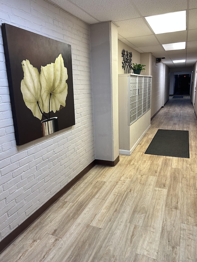 25 Cartright St Unit 1E, Bridgeport, CT 06604 - hall with mail area, wood finished floors, a paneled ceiling, and brick wall