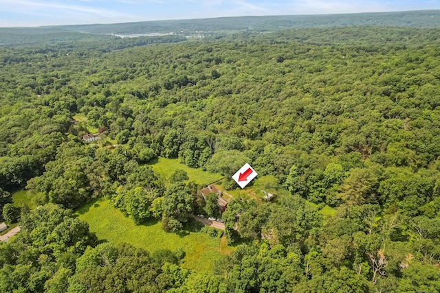 53 Old Town St, East Haddam, CT 06423 - photo 29