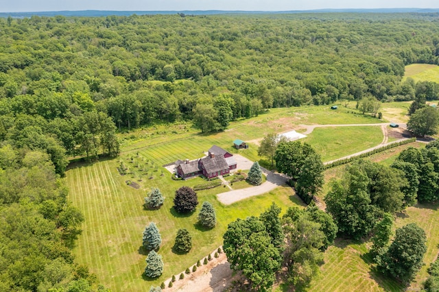 93 Northfield Rd, Litchfield, CT 06759 - view of rural area featuring a forest