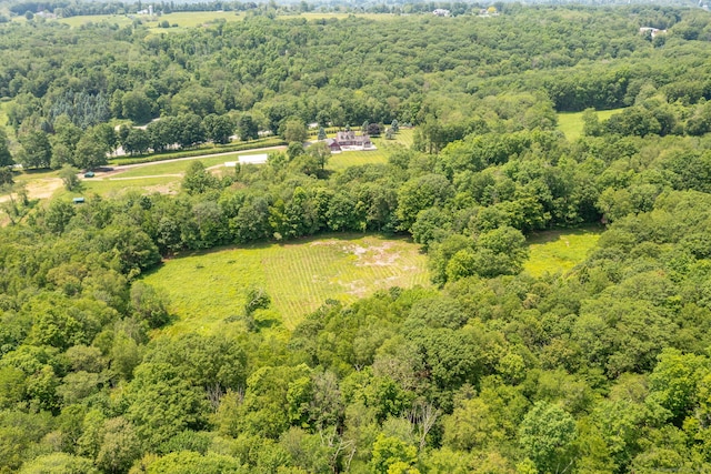 93 Northfield Rd, Litchfield, CT 06759 - aerial view of a forest