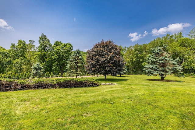 93 Northfield Rd, Litchfield, CT 06759 - view of grassy yard