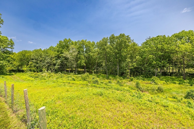 93 Northfield Rd, Litchfield, CT 06759 - view of yard with a forest view